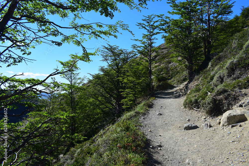 Fototapeta premium Sendero a Torres del Paine