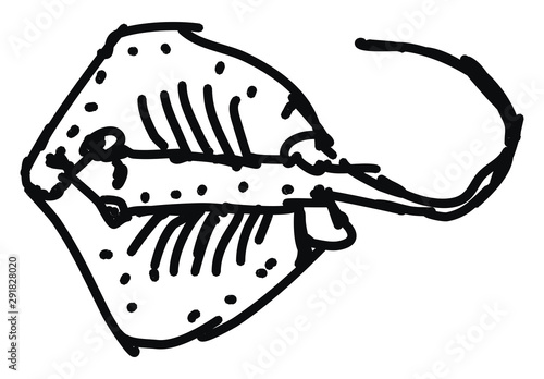 Stringray, illustration, vector on white background.