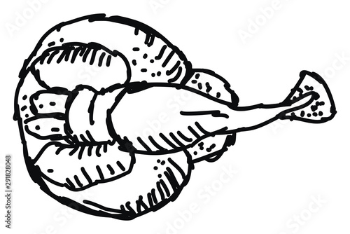 Stringray, illustration, vector on white background.