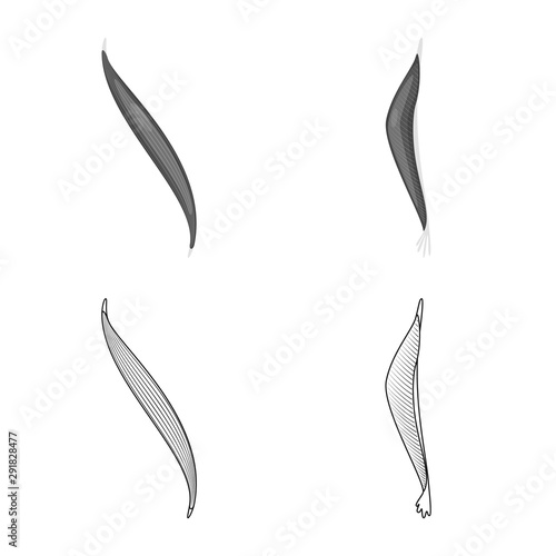 Isolated object of fiber and muscular icon. Collection of fiber and body stock symbol for web.