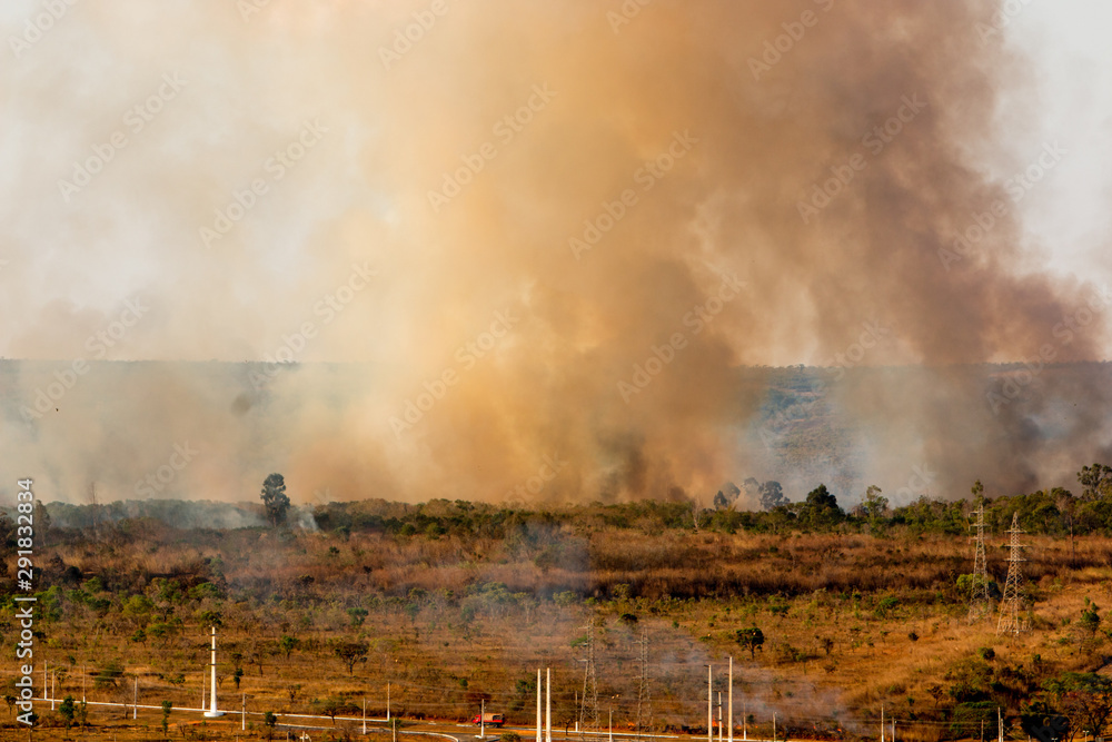 Fototapeta premium Wild Fires Burning out of control in the City Limits of the North Side of Brasilia.