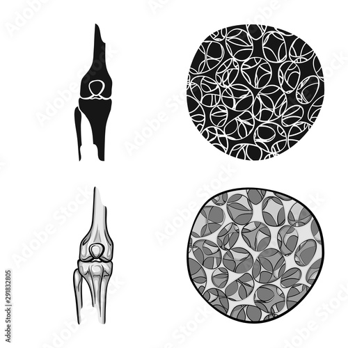 Vector illustration of medicine and clinic symbol. Collection of medicine and medical stock vector illustration.