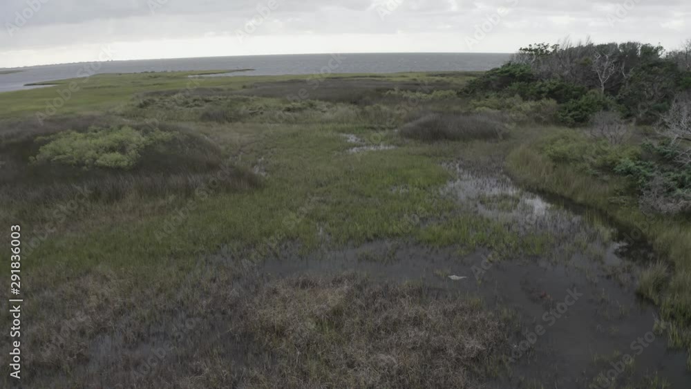 flyover of marsh on coastal North Carolina wet lands Pamlico Sound flyover of marsh on coastal North Carolina wet lands Pamlico Sound