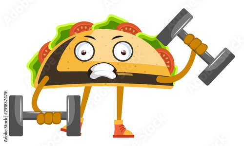 Taco with weights, illustration, vector on white background.