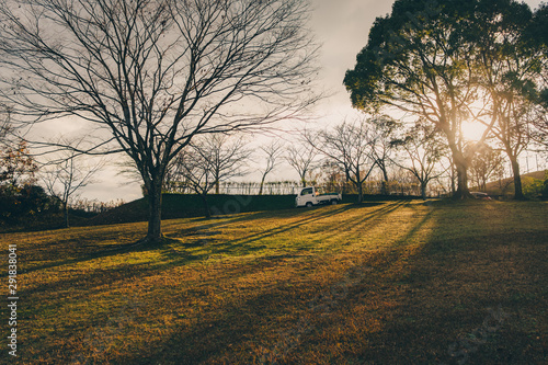 A car runs at dusk on a dead tree hill