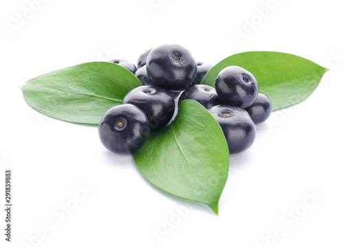 Konstfotografi Fresh acai berries on white background