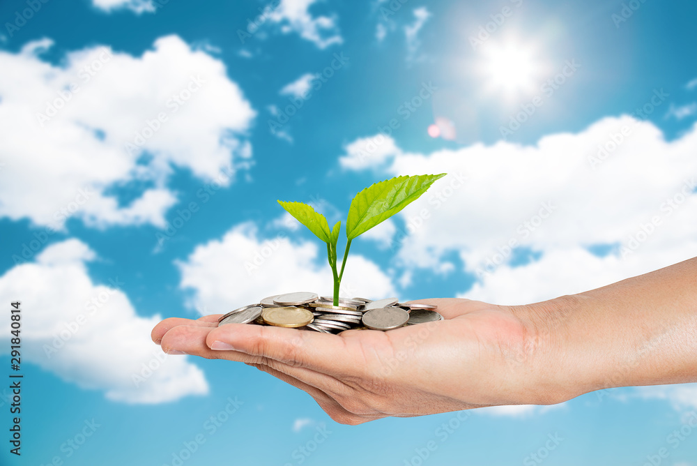 Hand holding money and plant growing in savings coins - Investment and interest concept with blue sky and copy space. Hand holding money and plant growing in savings coins - Investment and interest concept with blue sky and copy space.