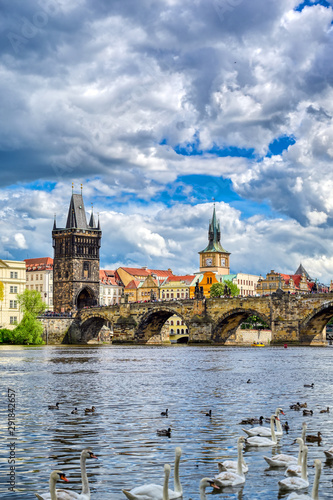 A view of Old Town Prague and the Charles Bridge across the Vltava River filled with swans in Prague, Czech Republic.
