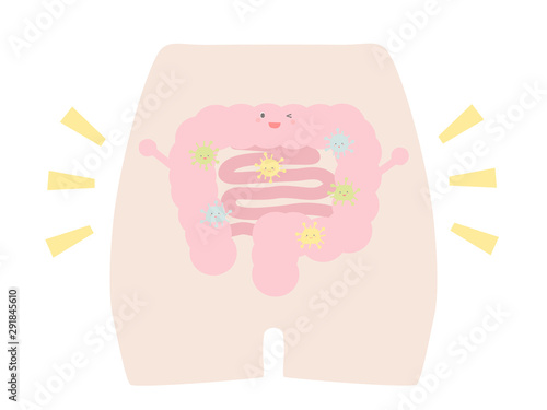 健康な腸内環境