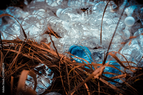 lastic bottles in the dried grass. Problem in the natural environment. Earth day. photo