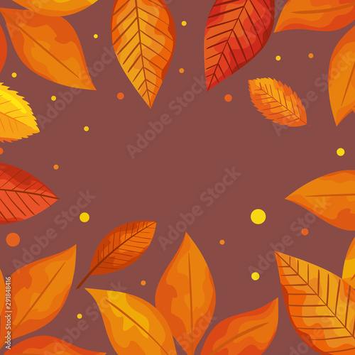 background of leafs decorative autumn