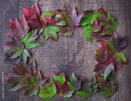 Fall background  green and red maple leaves making a frame on a rustic wood background