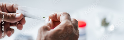 Fotografia panoramic shot of man rolling blunt with medical cannabis