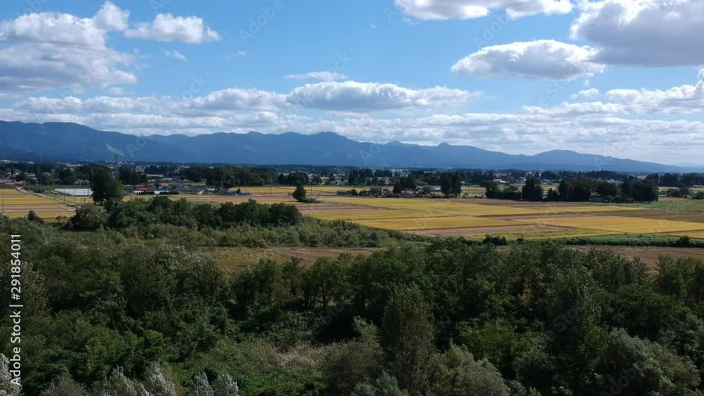 空撮 日本の秋 田園風景 田舎 青空 川 稲穂 空撮 日本の秋 田園風景 田舎 青空 川 稲穂
