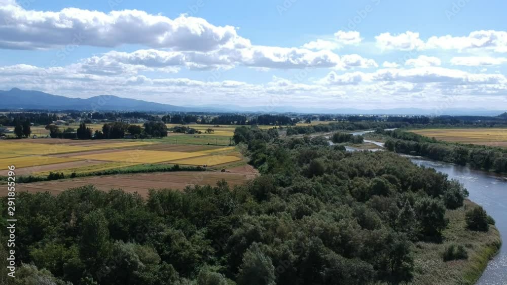 空撮 日本の秋 田園風景 田舎 青空 川 稲穂 空撮 日本の秋 田園風景 田舎 青空 川 稲穂