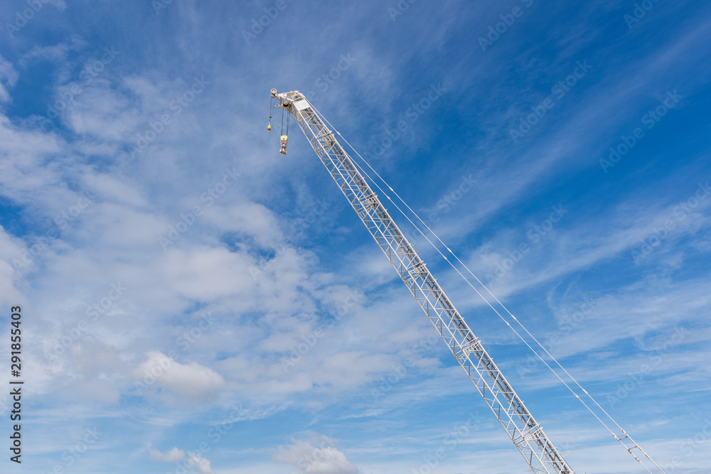 White Crane against blue skies White Crane against blue skies