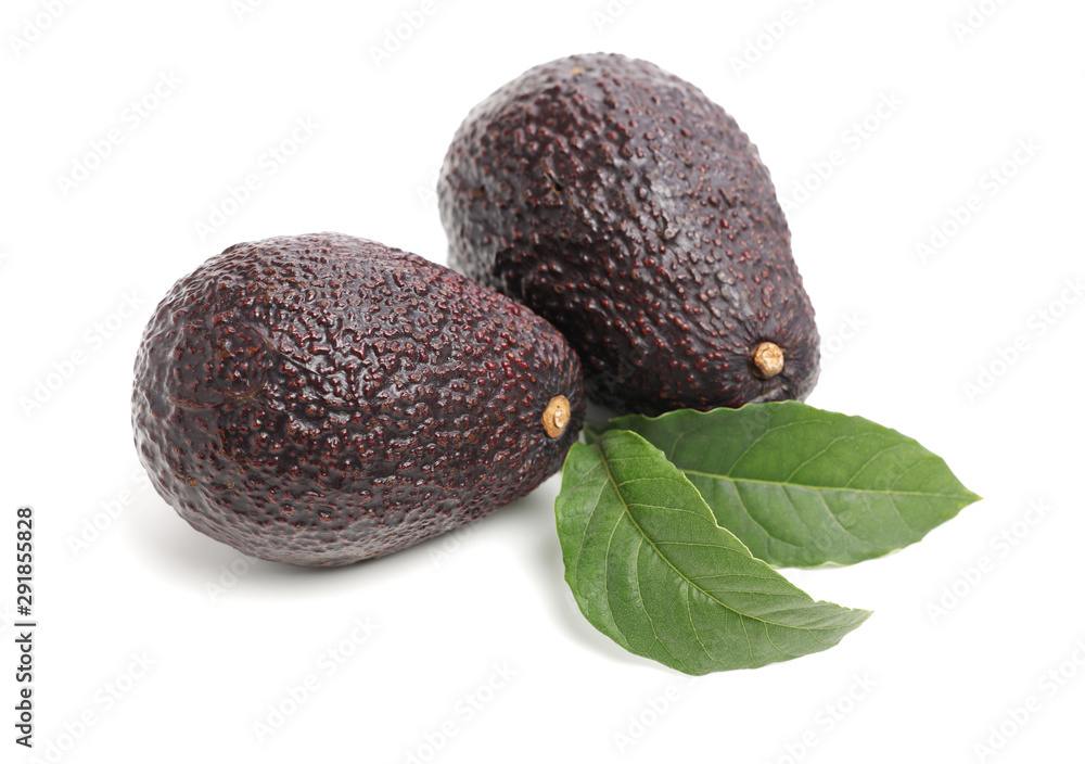 Avocado on a white background Avocado on a white background