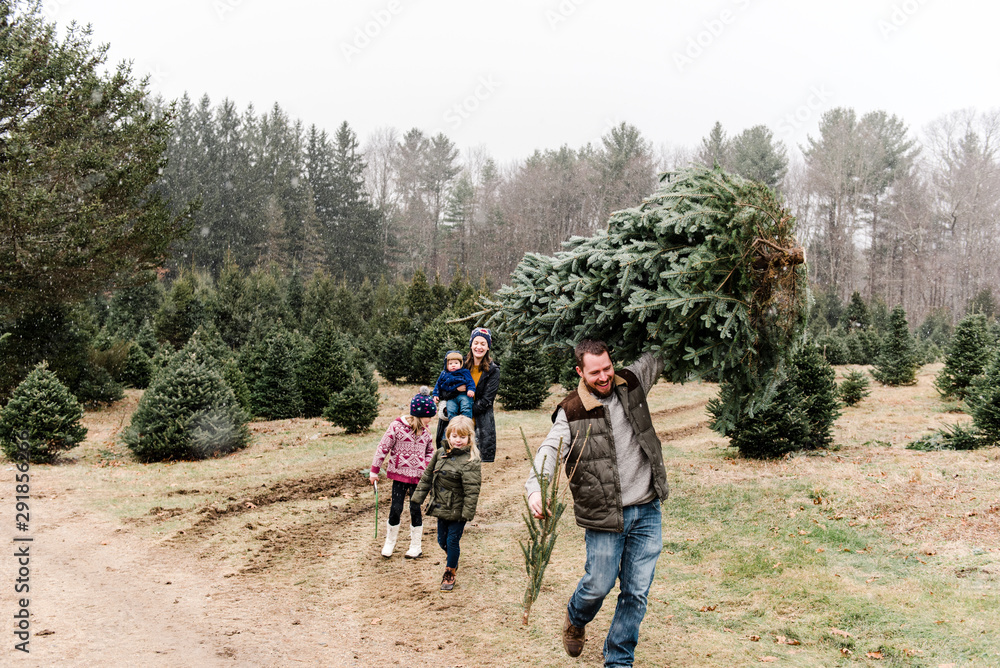 Dad carrying Christmas tree and family following him Dad carrying Christmas tree and family following him