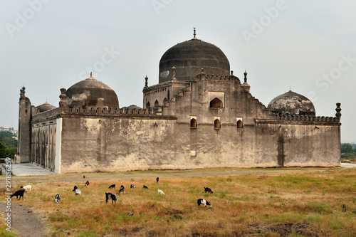 View of Gulbarga Jamia Mosque built in 14th century, Karnataka, India.