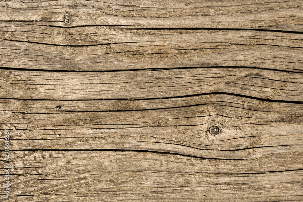 Fototapeta premium Old weathered wooden plank. Grunge design background.