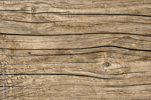 Old weathered wooden plank. Grunge design background.