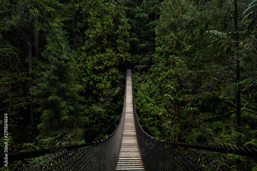 Wide Angle of Wooded Suspension Bridge photo