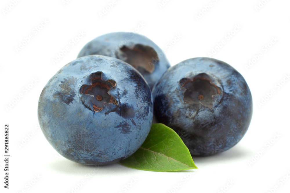 Fototapeta premium Blueberry with leaf closeup
