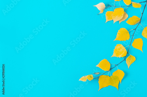 autumn yellow leaves on blue background