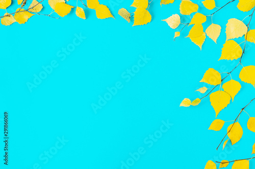 autumn yellow leaves on blue background
