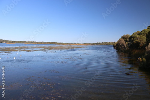 Lakeside view