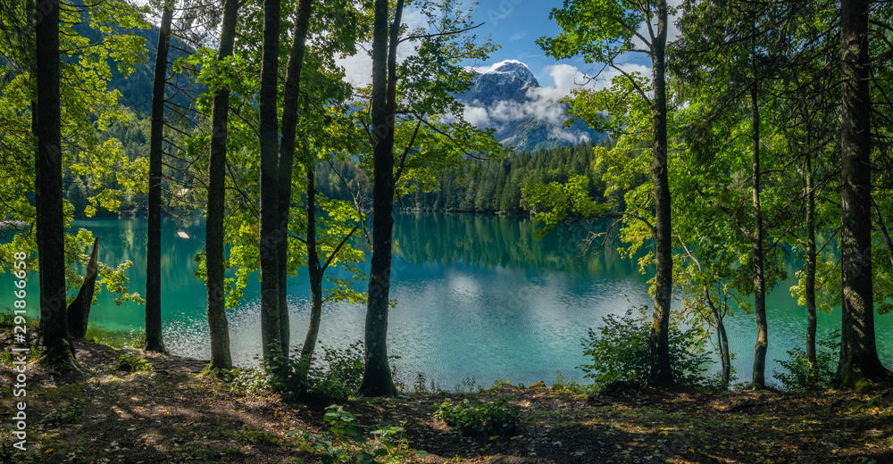 green trees on the shores of the Alpine lake green trees on the shores of the Alpine lake