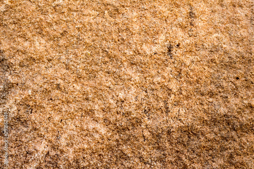 rock skin , stone texture , boulder surface