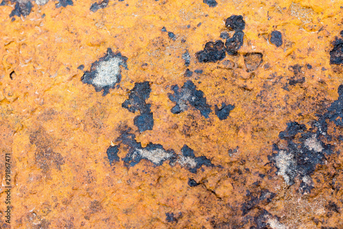 rock skin , stone texture , boulder surface