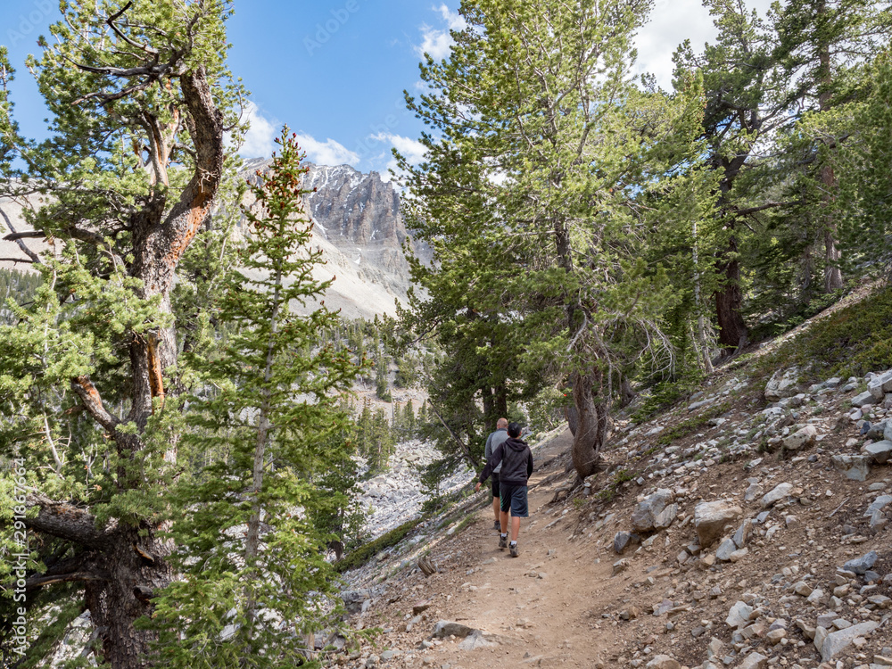 Boy hiking toward Wheeler Peak and Glacier Point at Great Basin National Park, Baker, Nevada, USA