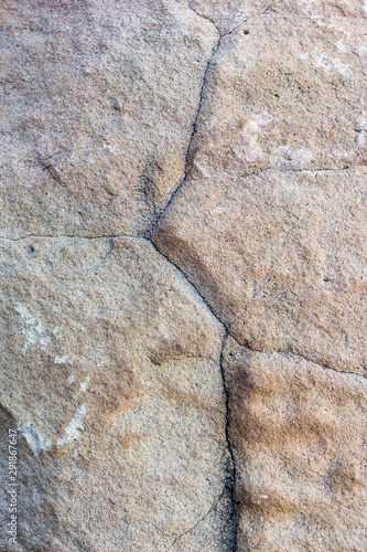 rock skin , stone texture , boulder surface