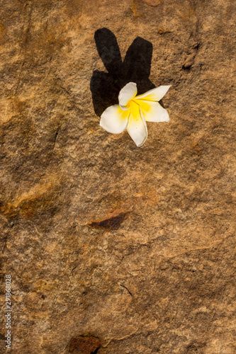 stone texture , rock surface , boulder skin