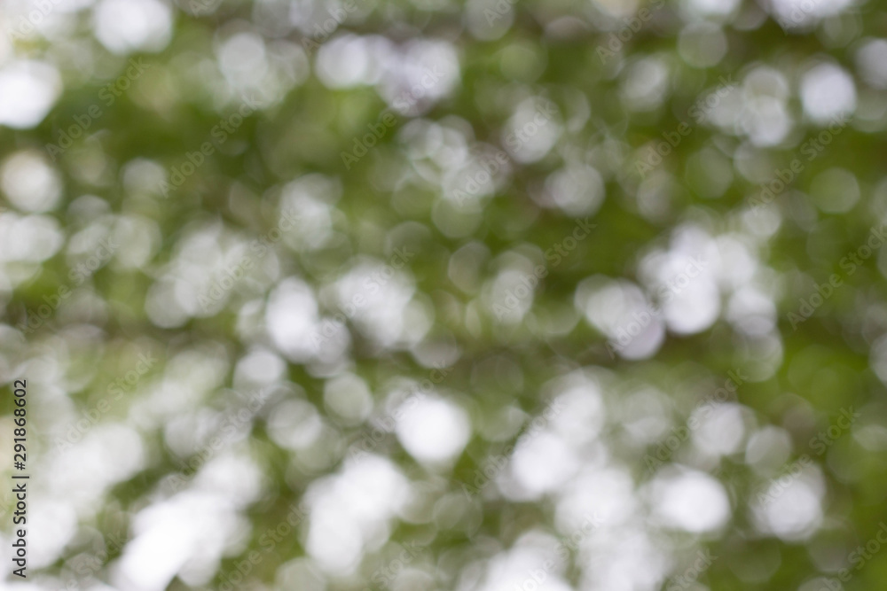 green bokeh background green bokeh background