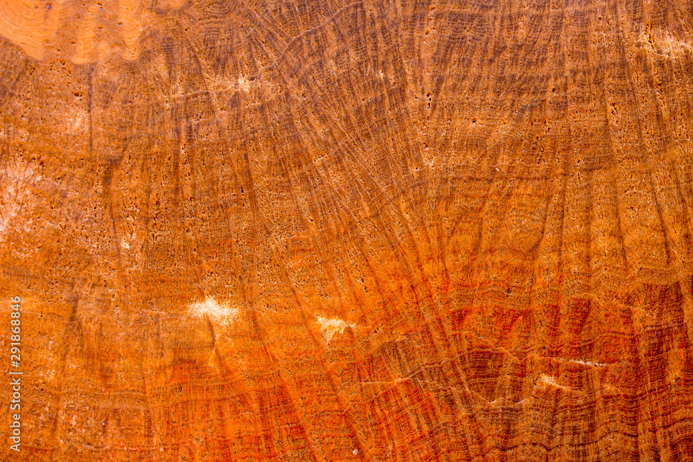 Fototapeta premium wood texture background