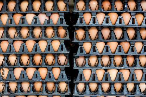 Stacked Eggs in boxes photo