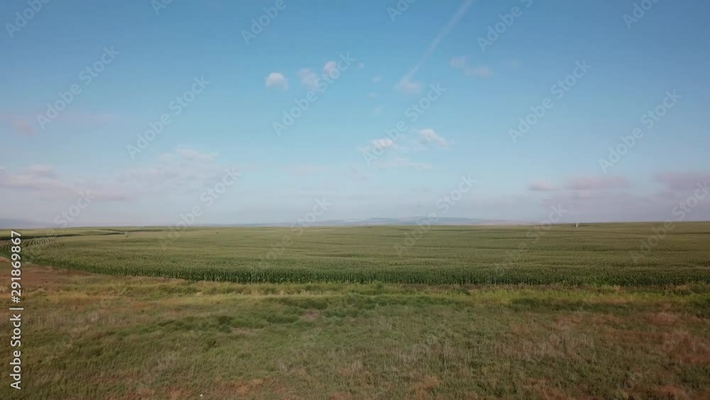 panoramic view of corn fields and a dairy operation in the Columbia basin of eastern Washington State in late summer panoramic view of corn fields and a dairy operation in the Columbia basin of eastern Washington State in late summer