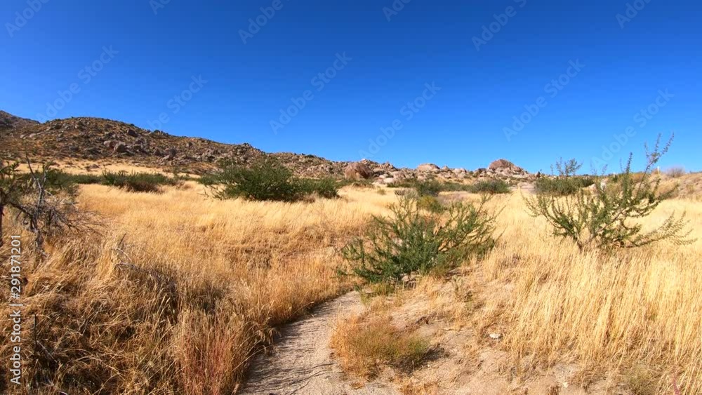 Clip of rugged wild west desert background with straw-colored grasses, granite rocks, Manzanita, cactus, hills, prairie grass, white sand and mountains. Filmed in southwest California, United States.