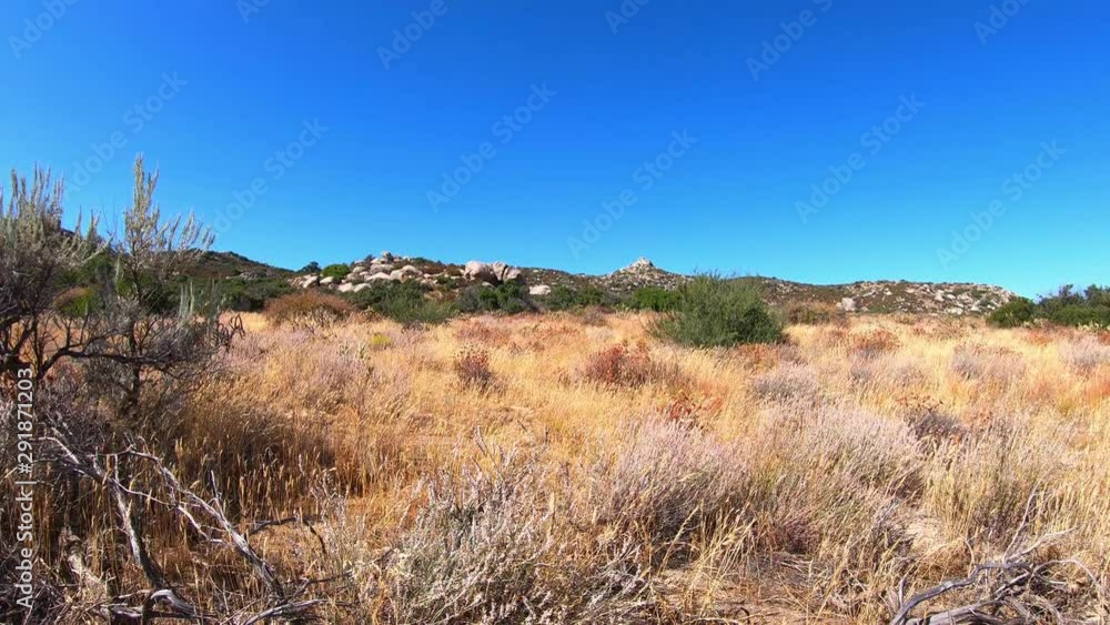 Clip of rugged wild west desert background with straw-colored grasses, granite rocks, Manzanita, cactus, hills, prairie grass, white sand and mountains. Filmed in southwest California, United States. Clip of rugged wild west desert background with straw-colored grasses, granite rocks, Manzanita, cactus, hills, prairie grass, white sand and mountains. Filmed in southwest California, United States.