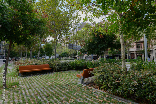 bench in the park in Barcelona, Spain. Beautiful green plants and grass all around