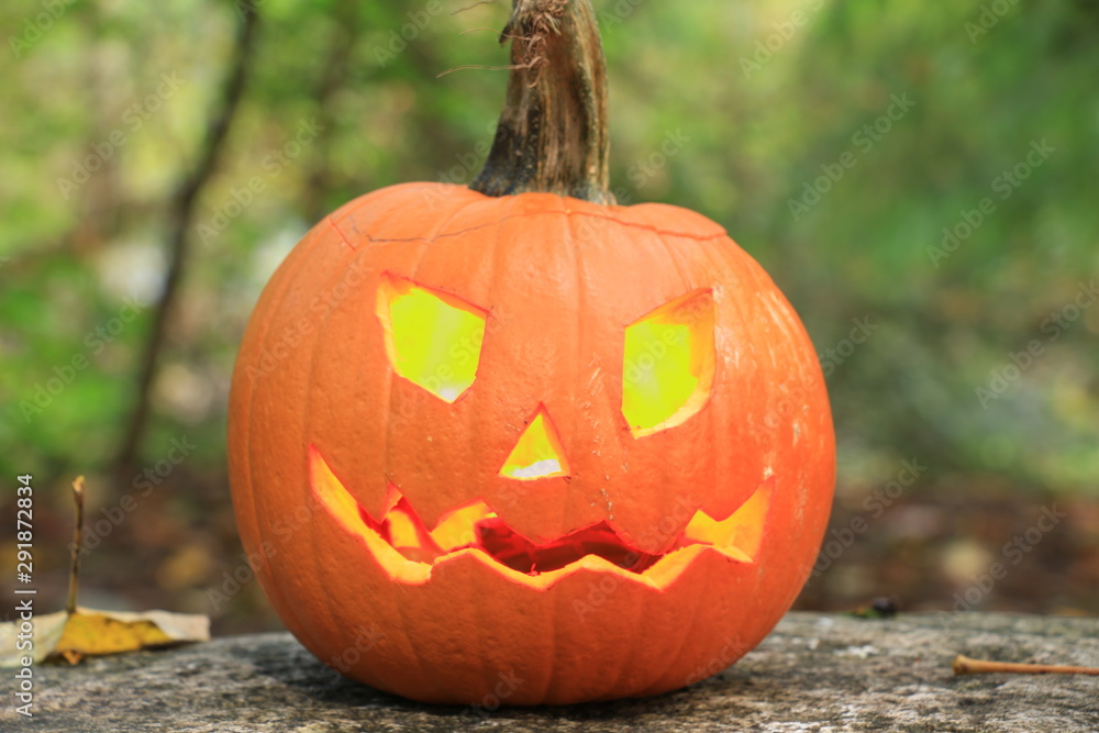 Orange and Yellow Pumpkin Orange and Yellow Pumpkin