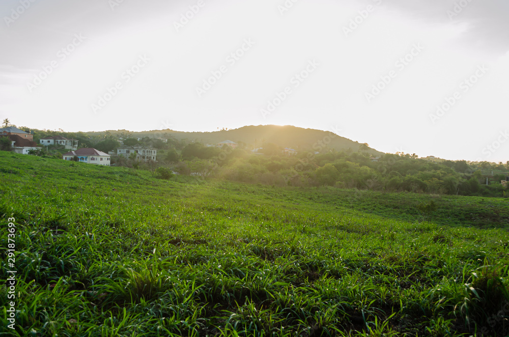 Morning Sunrise Over Green Field