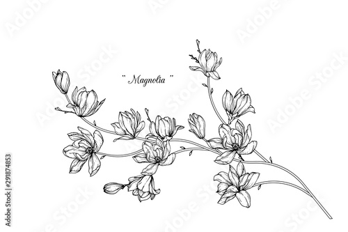 Fotografia Sketch Floral Botany set