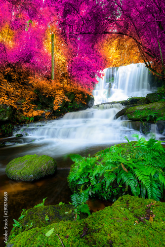 wodospad-w-kolorowym-lesie