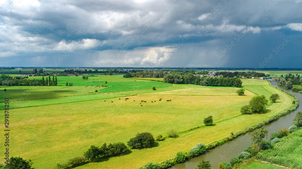 Aerial drone view of green fields and farm houses near canal from above, typical Dutch landscape, Holland, Netherlands Aerial drone view of green fields and farm houses near canal from above, typical Dutch landscape, Holland, Netherlands