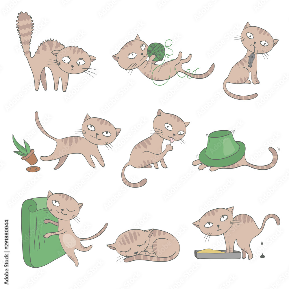 Obraz premium Cats vector set