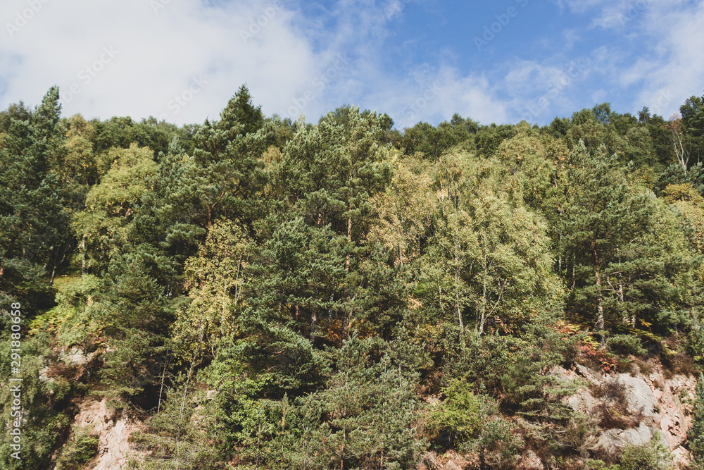 Wald 2 Wald 2